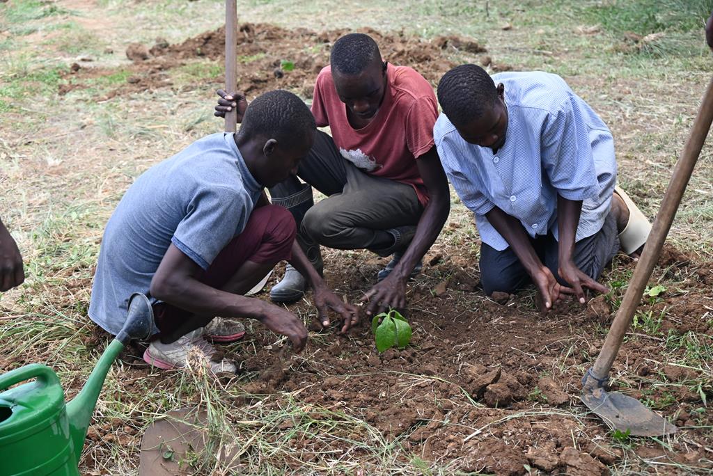 Committed to ensuring the Earth requires all individual inputs, SKHM staff planting newly transplanted tree seedlings